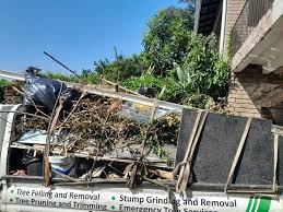 Best Shed Removal  in Cynthiana, KY